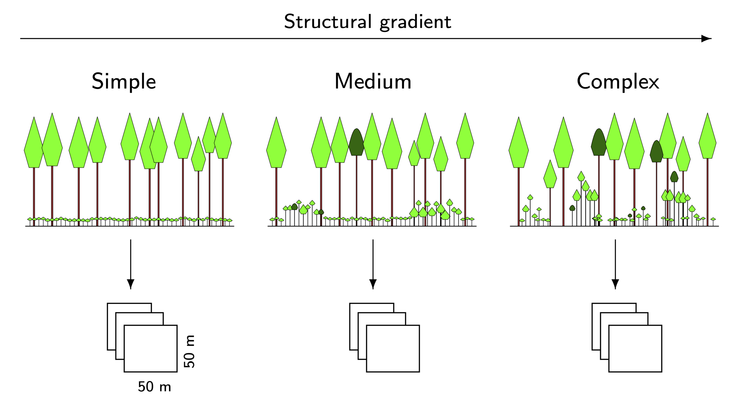 File:StructuralGradient.png - Arne Pommerening's Forest Biometrics Lab